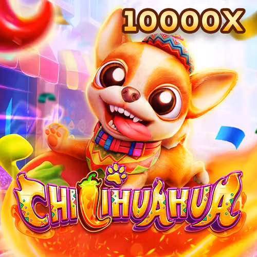 poker casino online Fachai Chihuahua Portrait